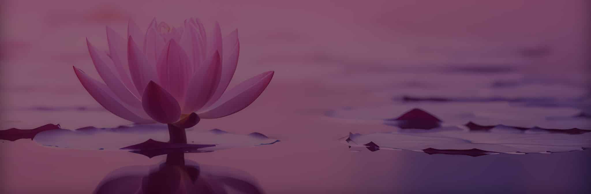 image promoting Moksha Works News and Announcements