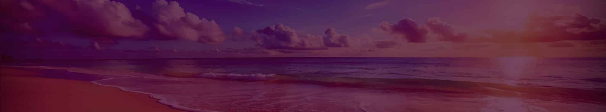 moksha works banner image