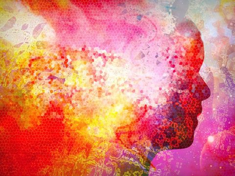 moksha-works-video-presentation